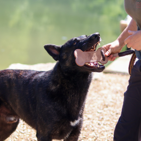 Jouet en cuir en forme d'os