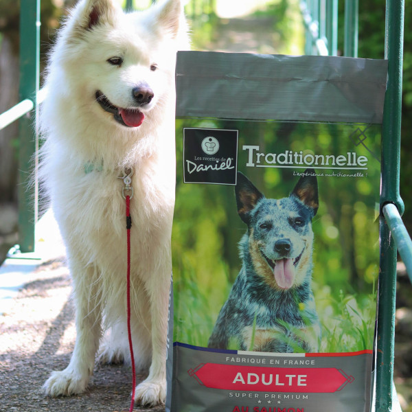 Croquettes Traditionnelle adulte saumon - 14 kg