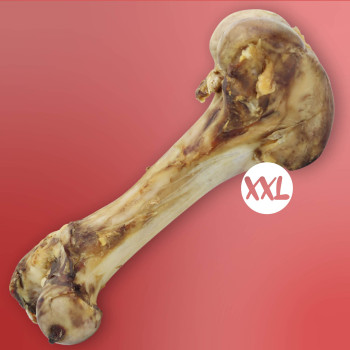 Os de boeuf XXL - 1,8 Kg