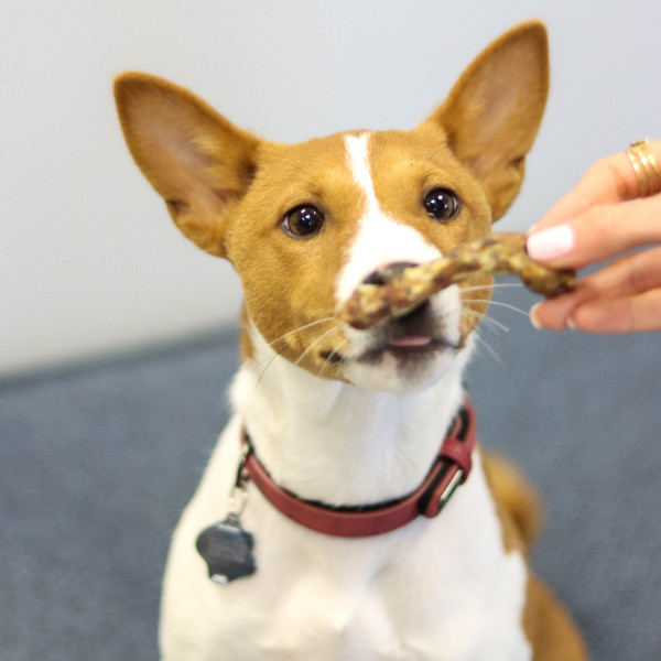 Cous de poulet séchés - 200g