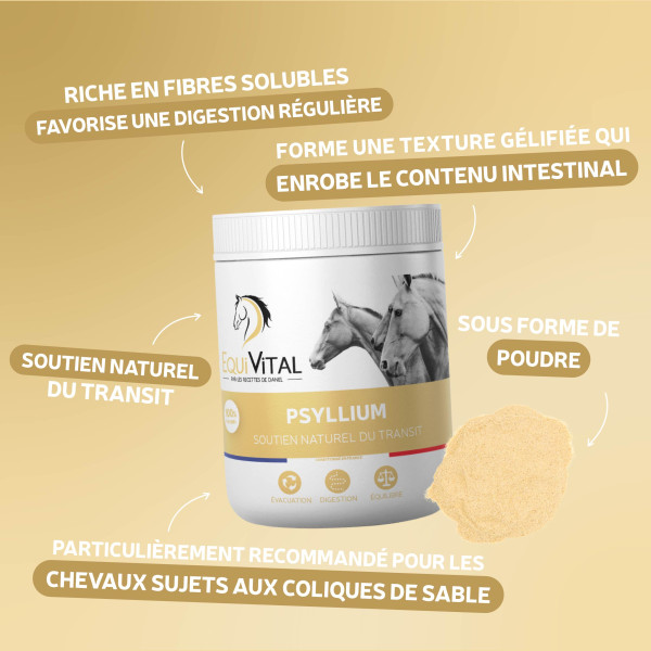 EquiVital Psyllium - 750 g
