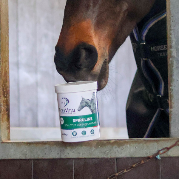 EquiVital Spiruline - 550 g