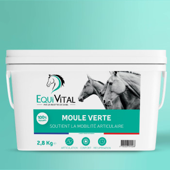 EquiVital Moule verte - 2,8 Kg