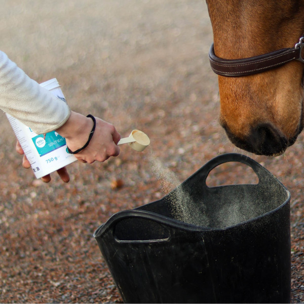 EquiVital Moule verte - 750 g