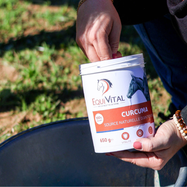 EquiVital Curcuma - 650 g
