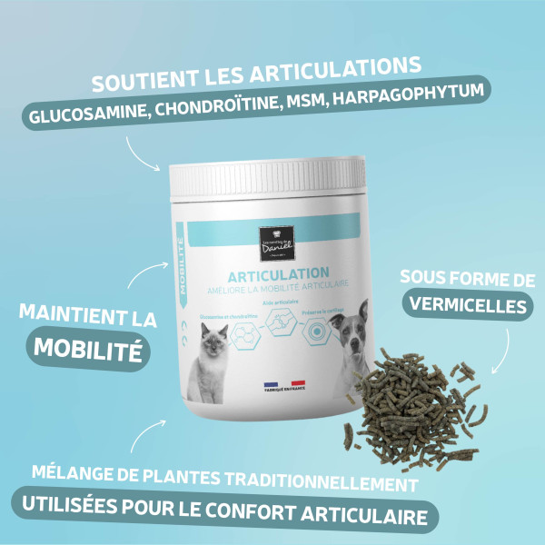 Complément Articulation chien et chat : propriétés