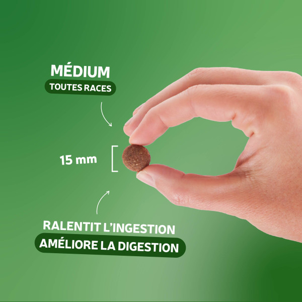 Croquettes CROQ'EQUILIBRE  - 20 kg