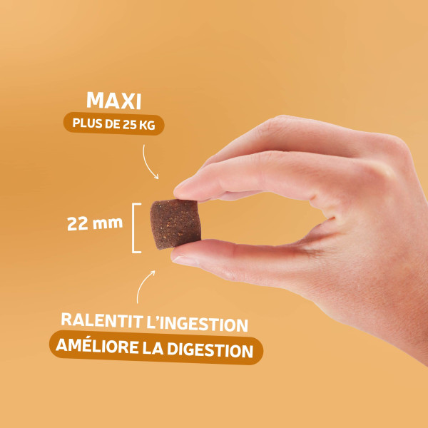 Croquettes Essentielle Chien - Maxi Adulte - à la volaille 14 kg