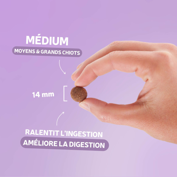 Croquettes Traditionnelle - Croissance Medium au canard - échantillon 400g