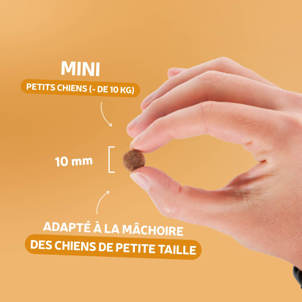 Croquettes Traditionnelle - Adulte Mini au canard - 4 kg