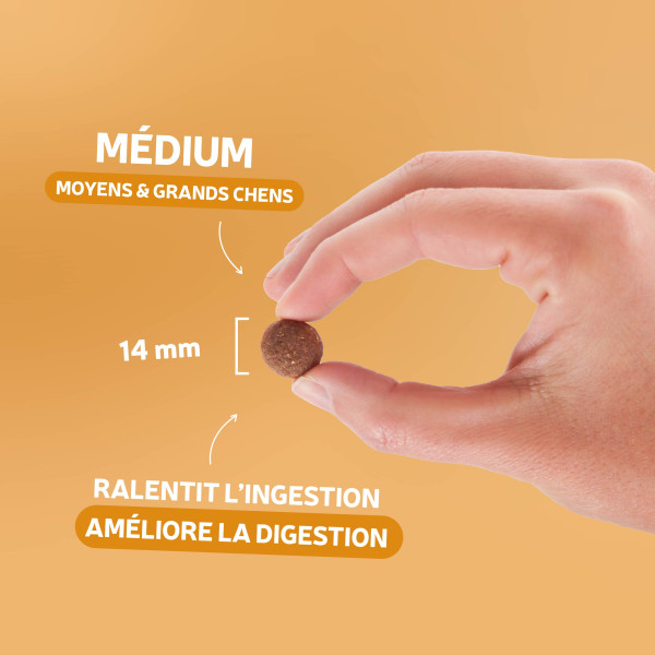 Croquettes Traditionnelle - Adulte Medium au Canard - 14 kg