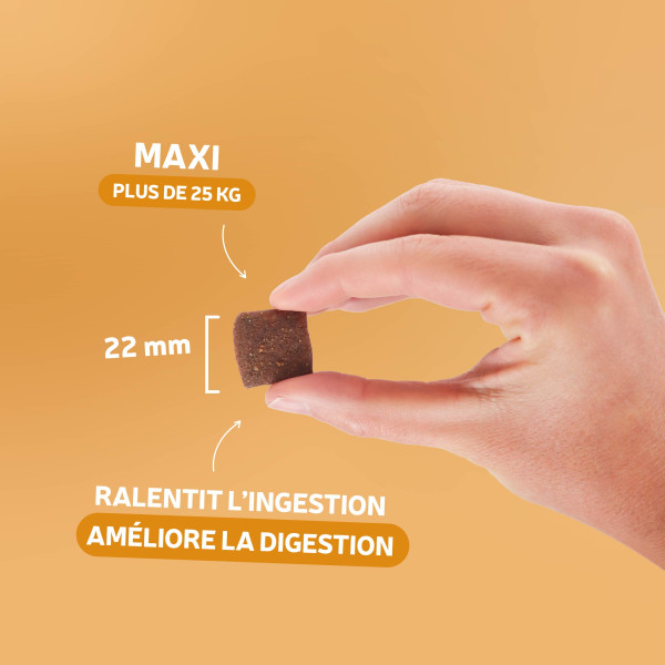 Croquettes Traditionnelle - Adulte Maxi au Canard - 14 kg