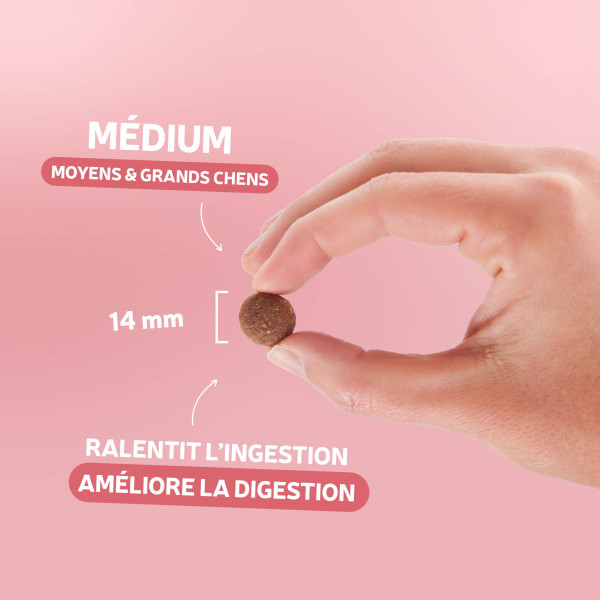 Croquettes Traditionnelle - Adulte Medium au Saumon - échantillon 400g