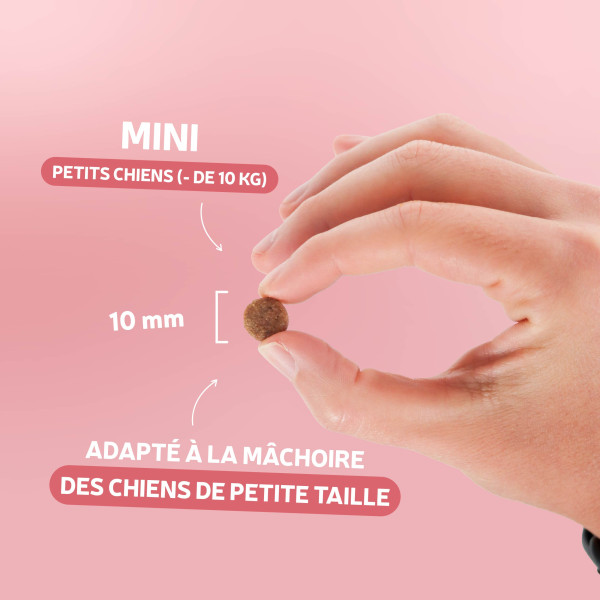 Croquettes Originelle mini adulte saumon sans céréales - 3 kg