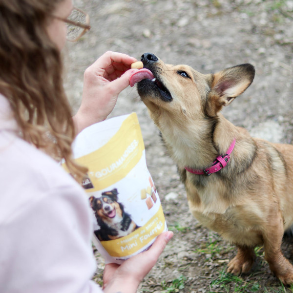 Gourmandises Mini Fourrés - 400g