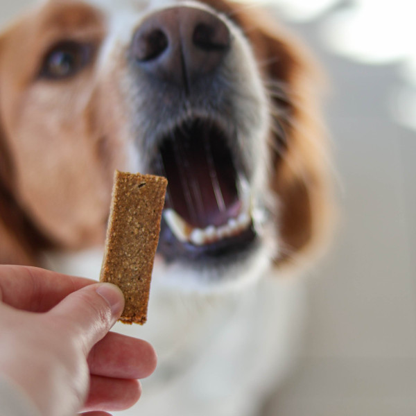 Barres à mâcher "peau et pelage" chien 80g - Marly & Dan