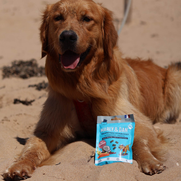 Format poche "vitaboost fruits" chien 20g - Marly & Dan