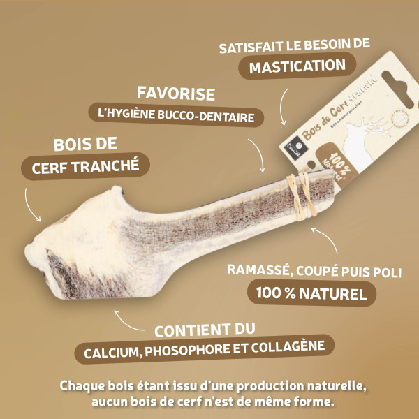 Bois de cerf tranché naturel pour chien