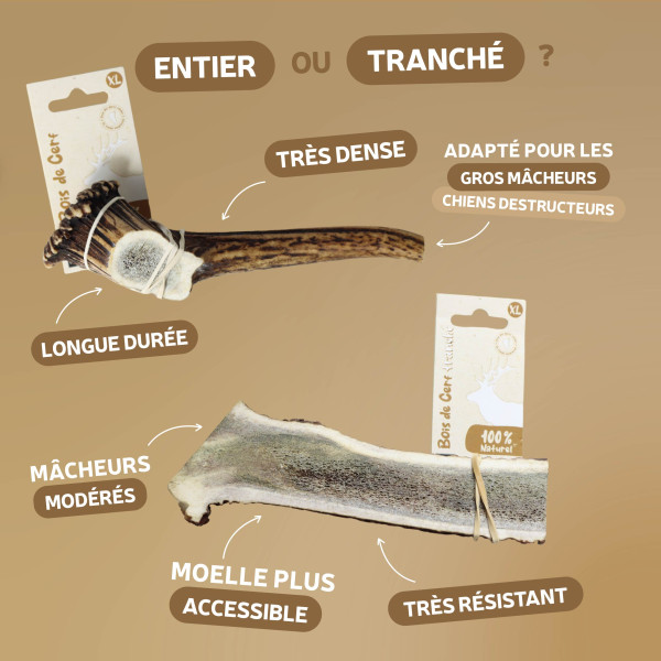 Bois de cerf tranché naturel pour chien