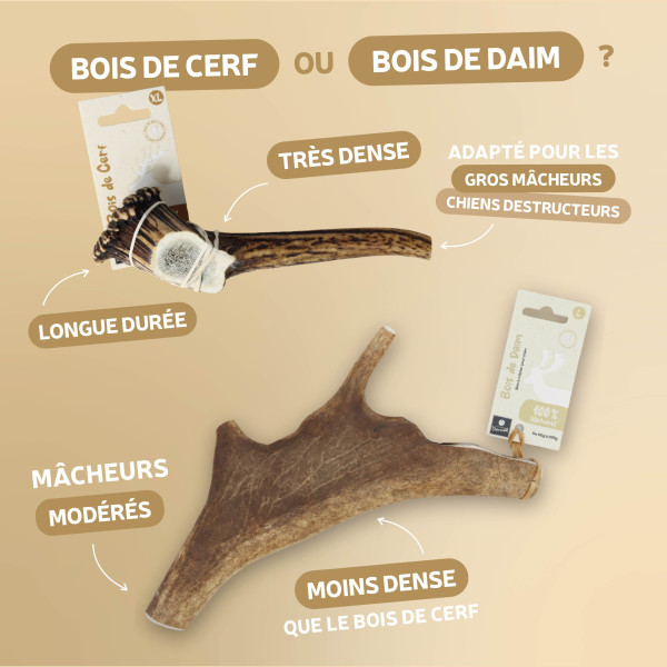 Bois de daim naturel pour chien