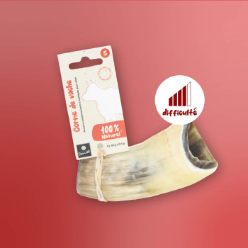 Corne de vache pour chien