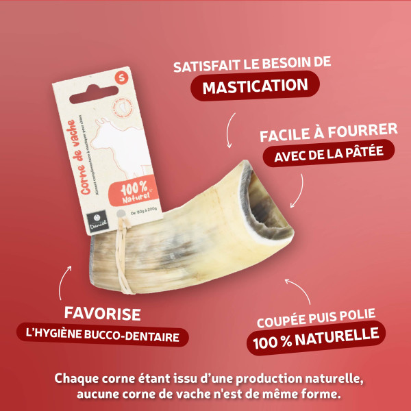 Corne de vache pour chien