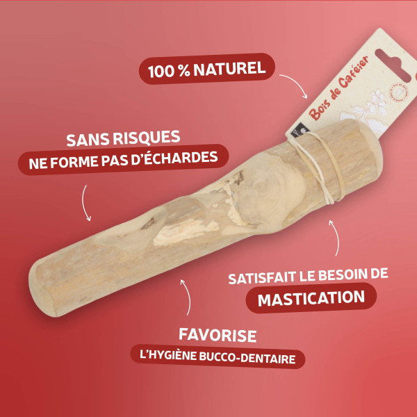 Bois de caféier pour chien