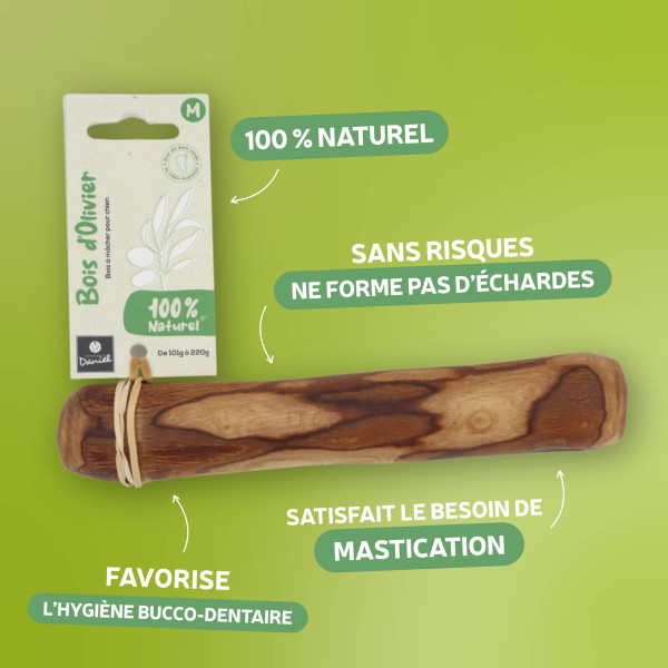 Bois d'olivier pour chien
