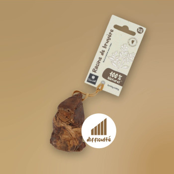 Racine de bruyère pour chien