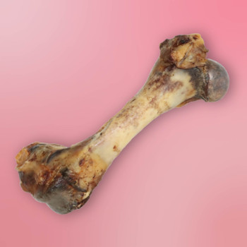 Os de jambon séché