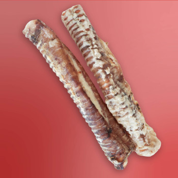 Trachée de bœuf 30cm - 500g