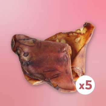 Oreilles de porc x 5