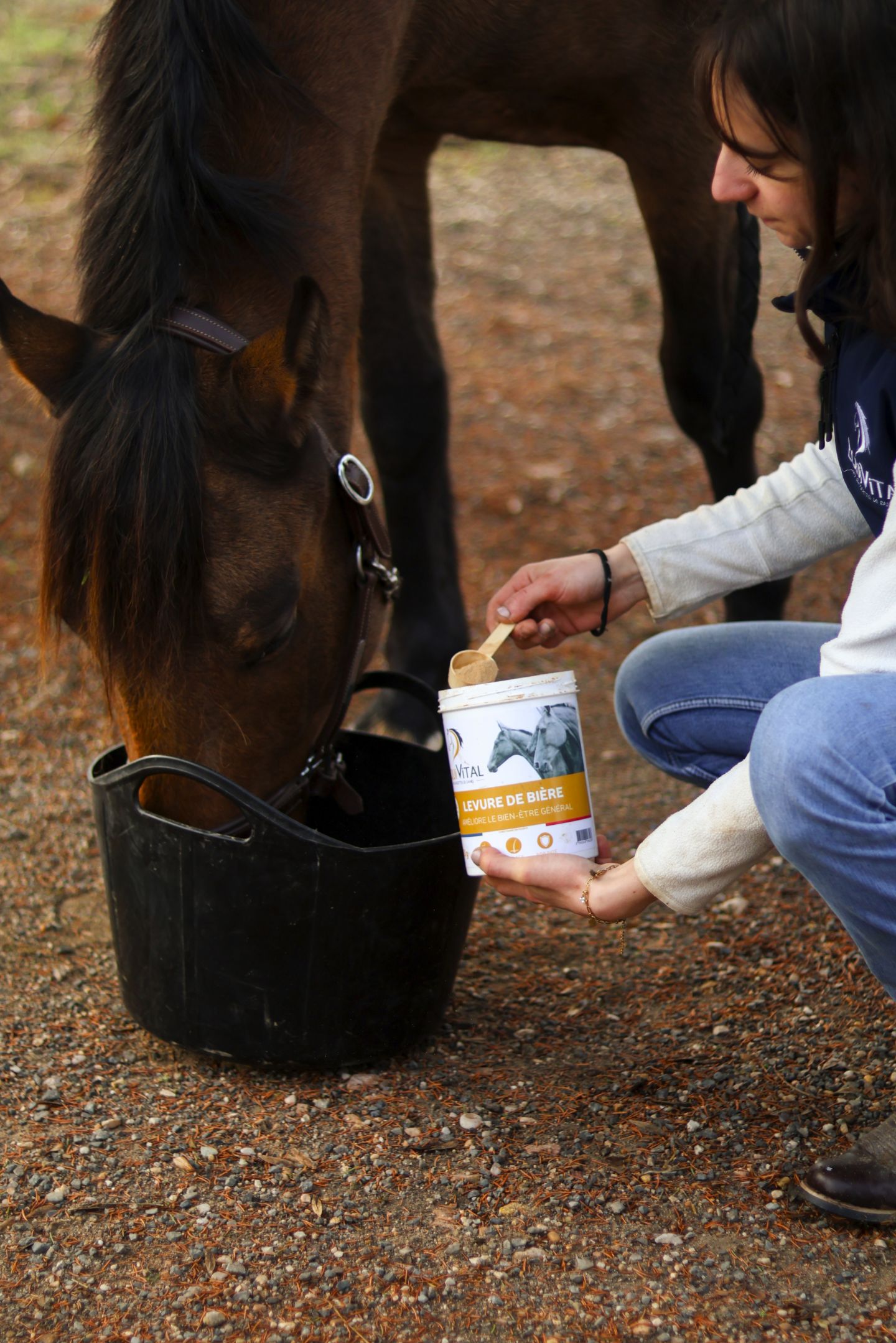 Compléments naturels pour chevaux