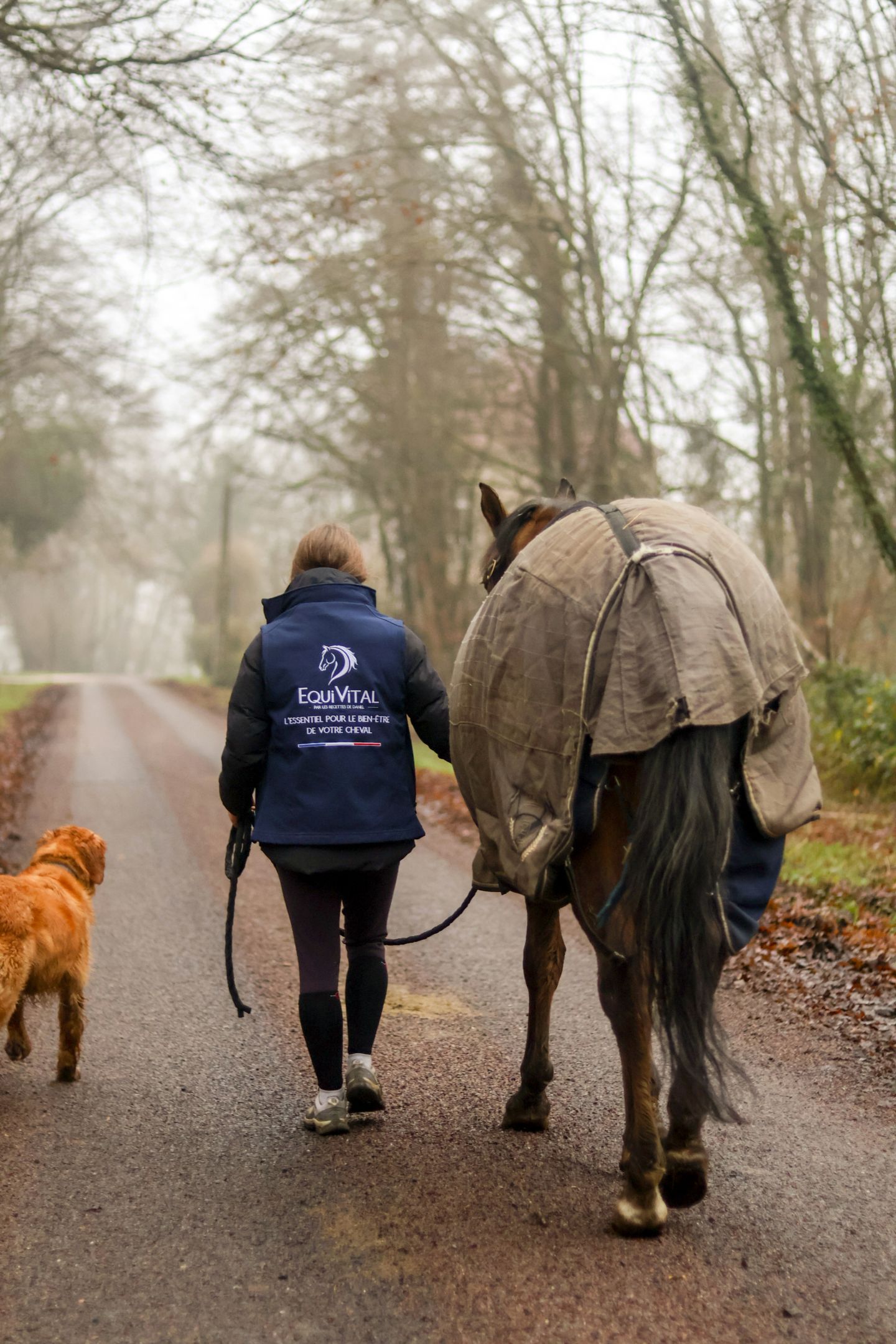 Une équipe de passionnés au service de vos compagnons
